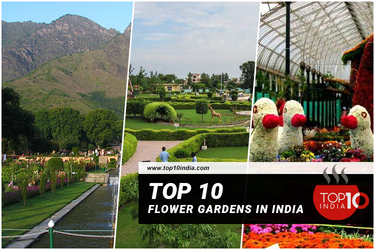 Top 10 Flower Gardens in India