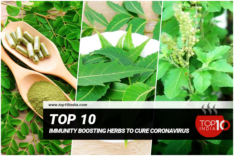 Top 10 Immunity Boosting Herbs To Cure Coronavirus
