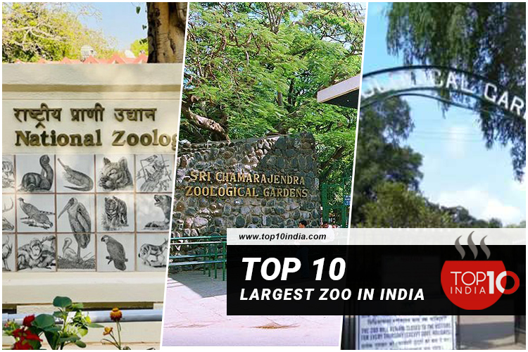 Top 10 Largest Zoo In India