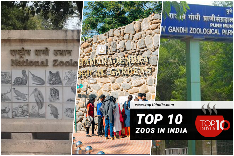 Top 10 Zoos in India