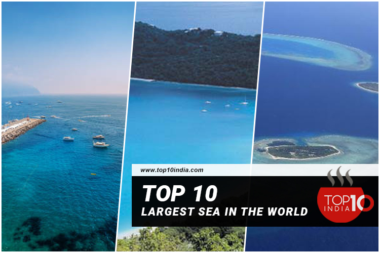 Top 10 Largest Sea in the World