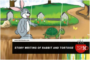 Story Writing of Rabbit And Tortoise