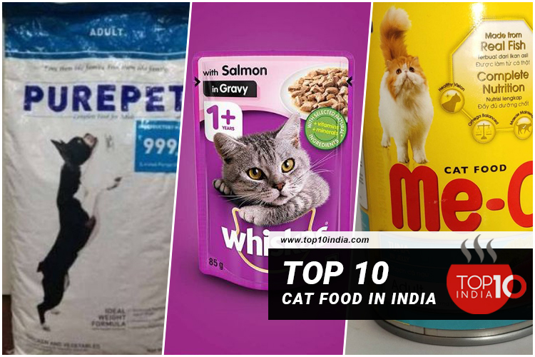 Top 10 Cat Food in India