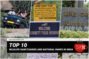 Top 10 Wildlife Sanctuaries And National Parks In India